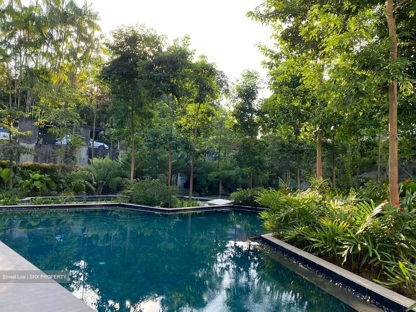 Mayfair Gardens (D21), Condominium #591768861